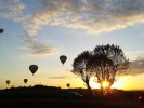 Montgolfiades de la Cote Chalonnaise - Francia